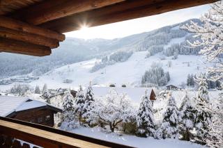 LUXURY Biochalet Charles - 8