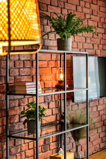 Apartament LOFTSPA - Ustrzyki Dolne - 6