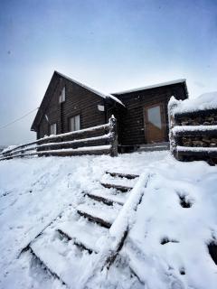 Cottage Marko - Lazeshchyna - 9