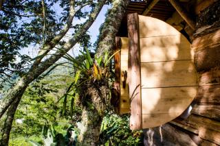 Cabana del Rio Lejos Pijao, Finca Flora del Rio - Pijao - 4