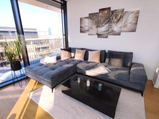 Panorama Apartment Vienna - free parking, sauna & fitness - 8