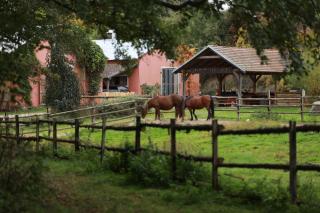 Afbeelding van de locatie