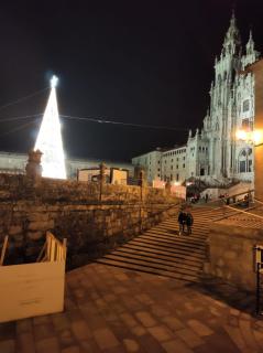 Apartamento con vistas a la catedral - Santiago de Compostela - 7