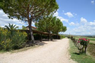 Agriturismo Volta Di Sacco - Grosseto - 5
