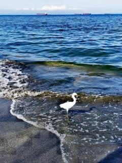 Pozos colorado Bello horizonte - Apartamento 70 mt2 - 5