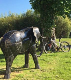Gîte indépendant entre vignes et océan - 5