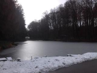 Gite du creux de la goutte - 4