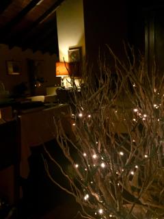 La Casa sui Tetti - Novi Ligure - 9