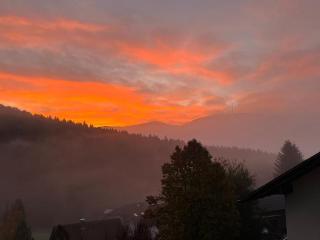 Black Forest Appartement - Brandenkopfblick - Zell am Harmersbach - 1