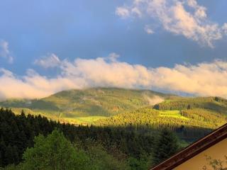 Black Forest Appartement - Brandenkopfblick - Zell am Harmersbach - 3