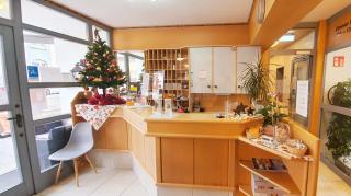 Aparthotel Wangener Landhaus - 6