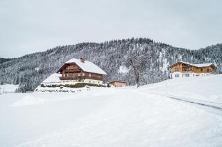Bio Bauernhof Oberhinterberg Appartement - Annaberg im Lammertal - 3