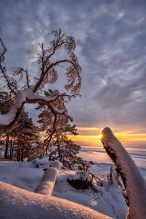 Villa MARIKA plus - 6