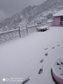 The Pinelamp Vacation Home Kalwah Valley - Dalhousie - 5