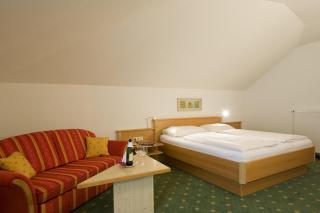 Hotel Gratz Großarl - 9