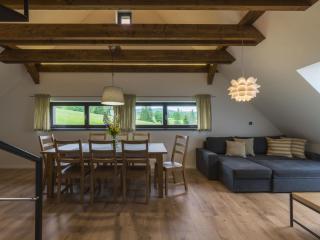Apartmán pod Pustým vrchem - Říčky - 8