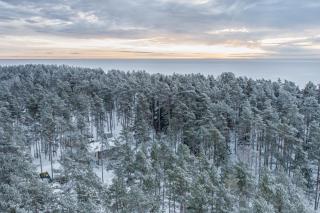 Villa MARIKA plus - 7