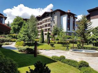 BREATHTAKING Mountain view 3 bedrooms appartement - Bansko - 4