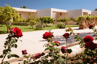 Hotel Rural Xereca - Puig D’en Valls - 5