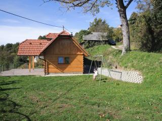 Vineyard Cottage Janko & Metka - Otočec - 9