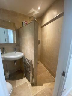 Lovely Entire 1 Bedroom Flat with Patio in Chiswick Superb Location - London - 3