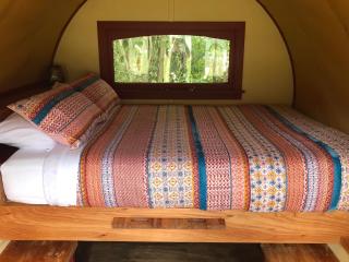 Greytown Campground - Greytown - 6