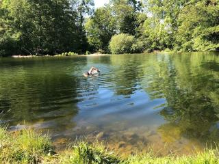 Maison rivière très calme près de Chablis et Noyers sur serein chez un céramiste designer - 5