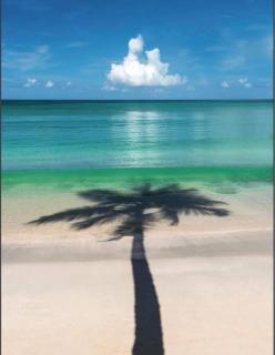 vacances en Martinique a deux pas de la mer - 9