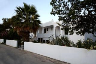 Moscha Studios - Batsi - 9