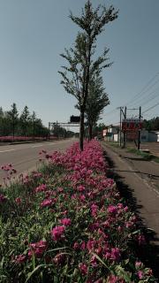 ビジネスホテル幸楽 - Abashiri - 5