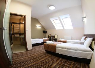 Hotel Aviator Kielce "Business Hotel Medical & Spa" - Kielce - 4