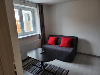 Apartments Anna and Ondra - Praga - 3