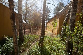 Sanctuary - Dullstroom - 6