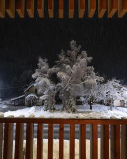 Triangel Boutique Hotel - 1