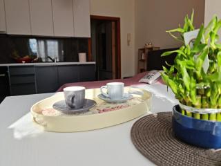 Lovely one bedroom studio in Tirana - Tirana - 3