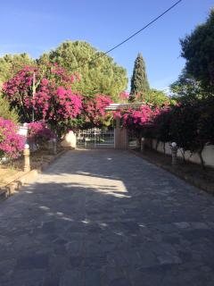 Nostrana Village Apartments - Koskinou - 8