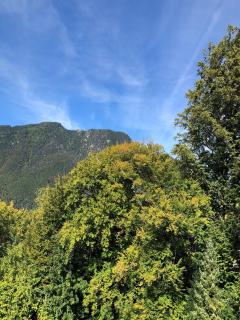 Ferienwohnung Staufenpanorama mit herrlicher Aussicht - Bad Reichenhall - 4