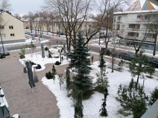 Apartamentai Flora - Palanga - 8