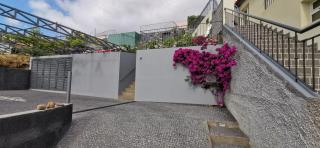 Casa Atlantico Suite - Ribeira Brava - 9