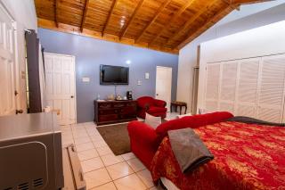 876 JA Oasis & Homestay - by Kingston Airport - Kingston - 3