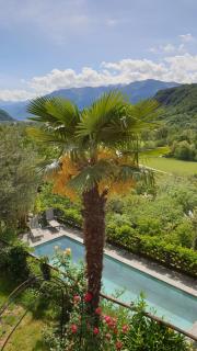 Casa Aries & Studio Aurora, Cavigliano - Cavigliano - 8