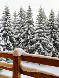 Vila Milica - Golija - 6