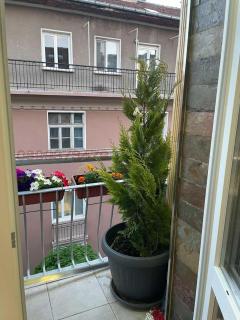 Top center Art deluxe apartment near to Aleksander Nevsky cathedral - 3