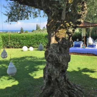 Lalla Luxury Villa - Lithakia - 6