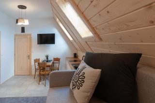 Apartamenty - Droga do Walczaków 37a - Zakopane - 8