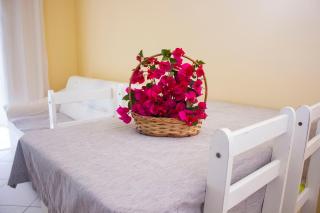 Apartamento Ponta da Areia 206 - Florianópolis - 6