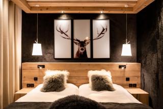 Hotel Les Mélèzes - Les Deux Alpes - 5