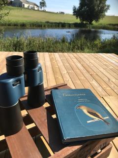 Glamping och Gårdslägenhet Mellan himmel och hav - 6