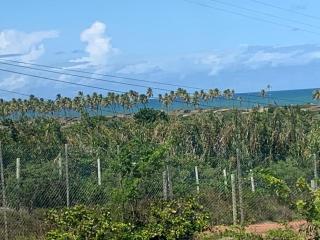 Condomínio Lírios Paraíso de Paz e Beleza - 4