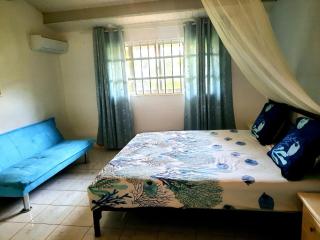 Seru Coral Apartment - Willemstad - 1